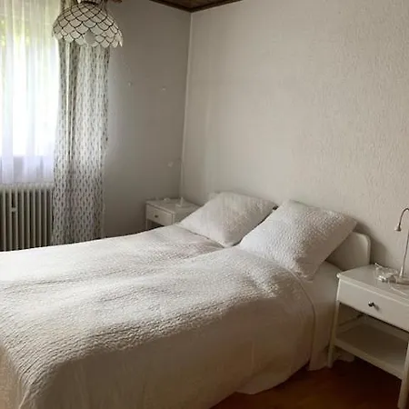 Haus Karolina Διαμέρισμα Lahr (Baden-Wurttemberg)